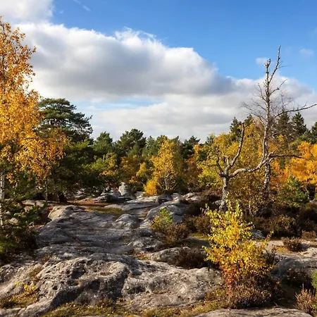 - Chez Julien Fontainebleau
